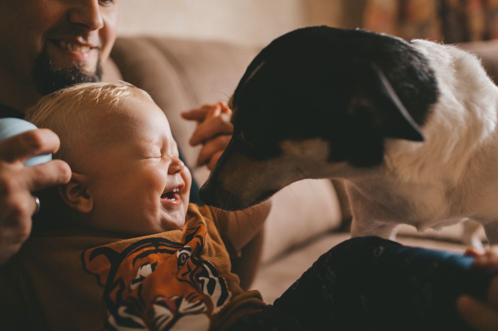 Photograph by Наталья Дрокина