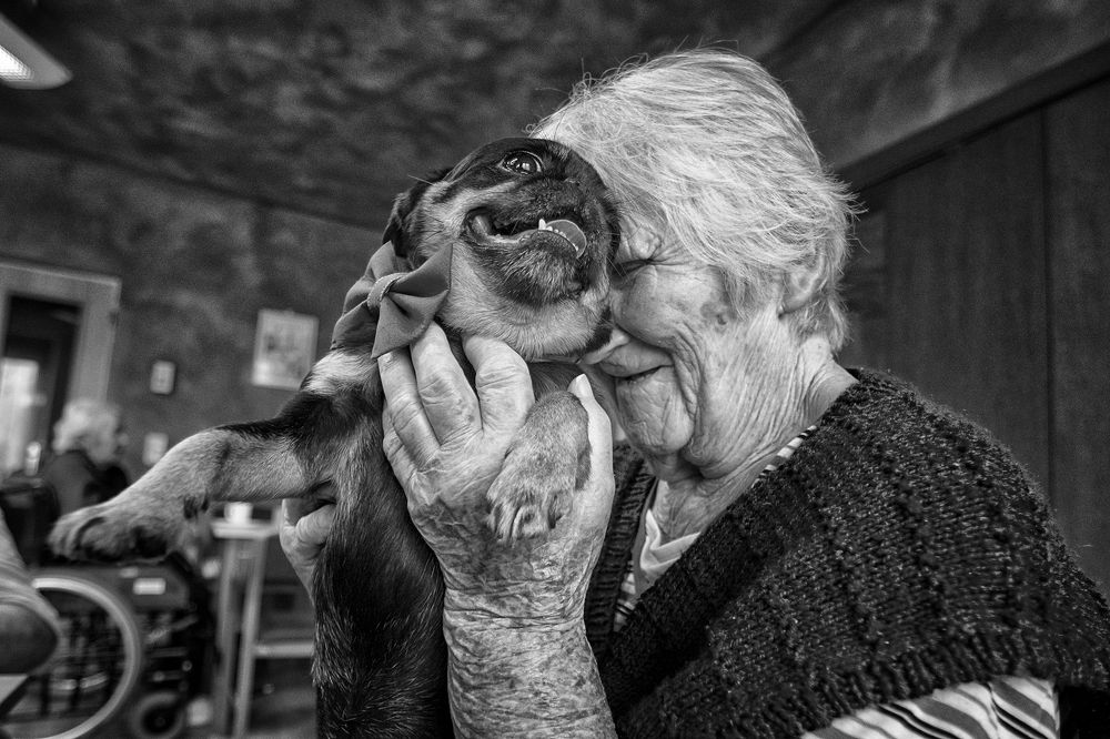 Canisterapie in senior house