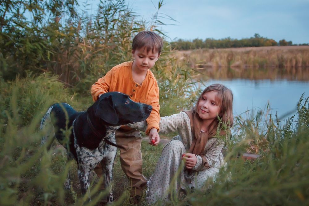 Photograph by Светлана Чужданова