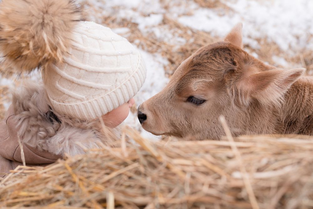 Photograph by Наталия Мамонова
