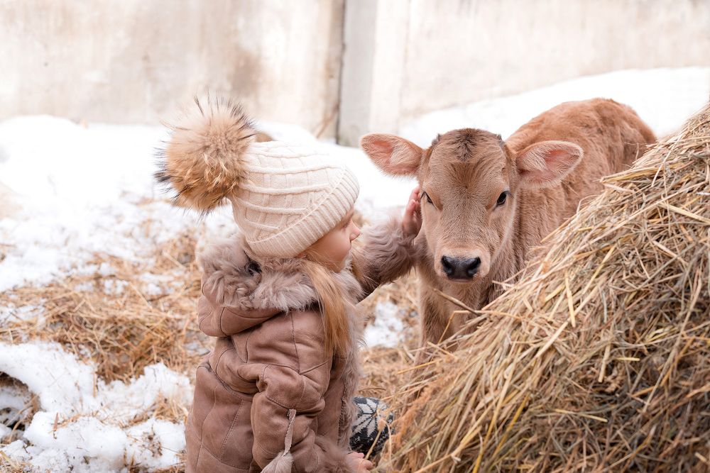 Photograph by Наталия Мамонова