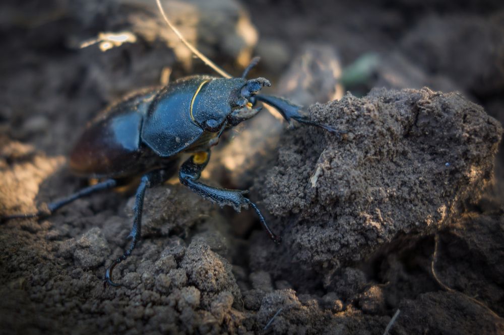 Photograph by Сергей Зуденко