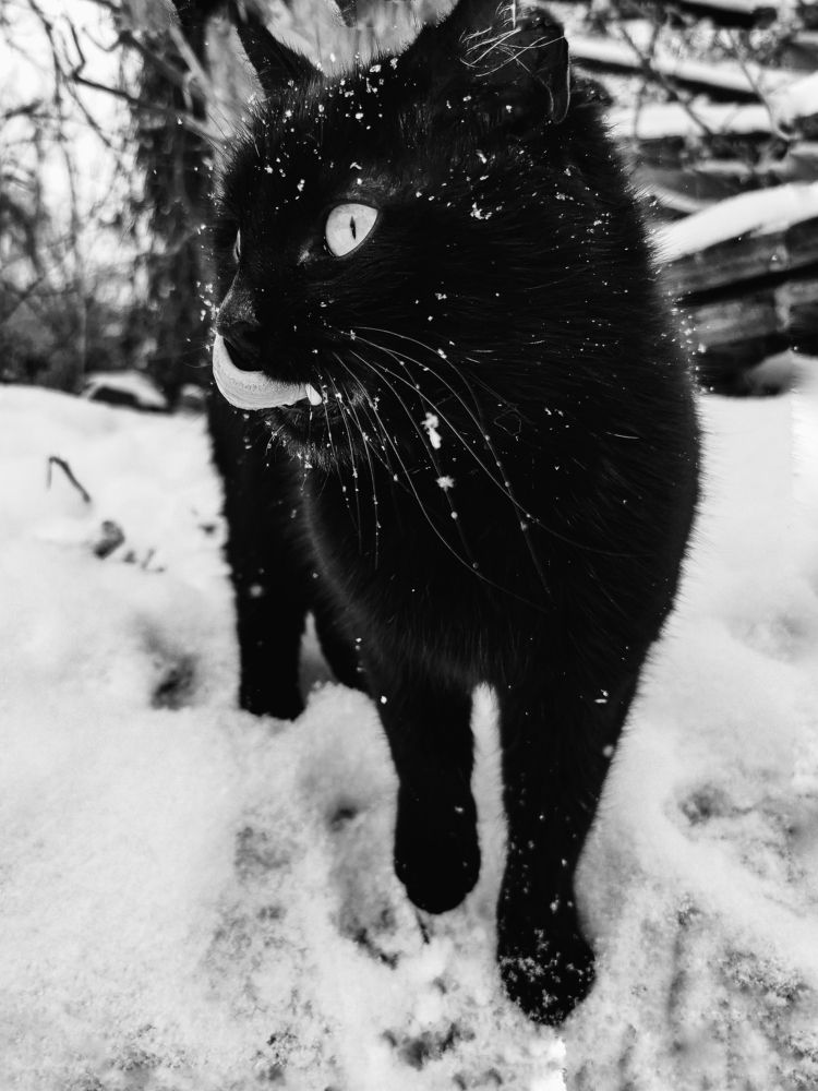 Photograph by Виктория Сорокопуд