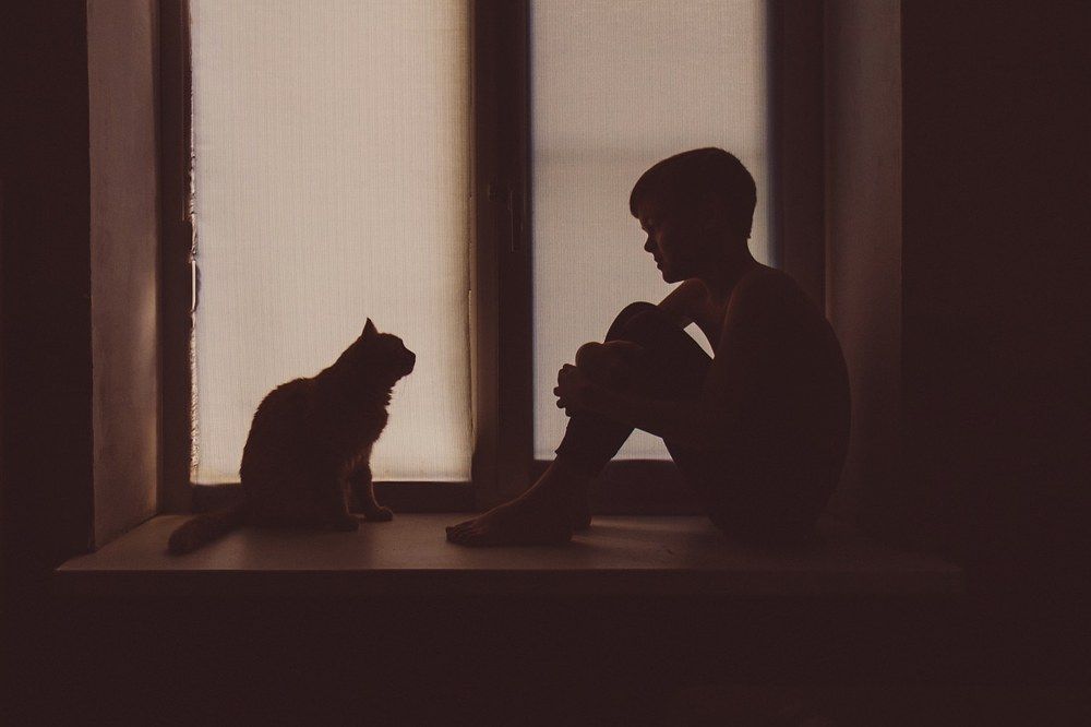 Фотография автора Мария Жукова