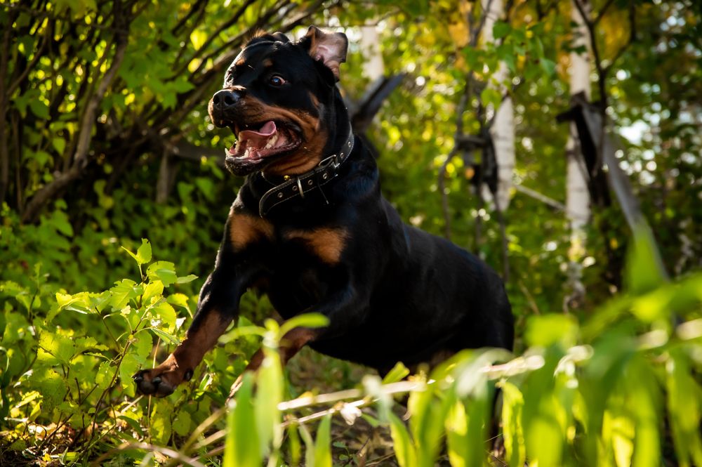 Photograph by Елена Прохорова