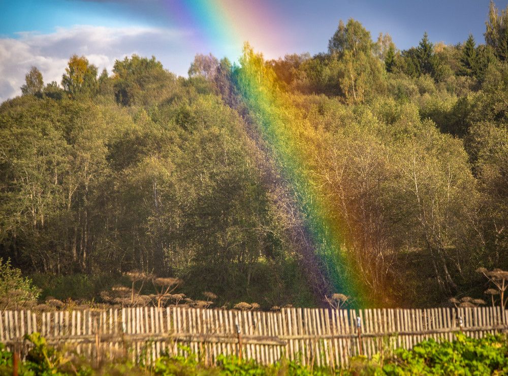 Photograph by Ольга Сафронова