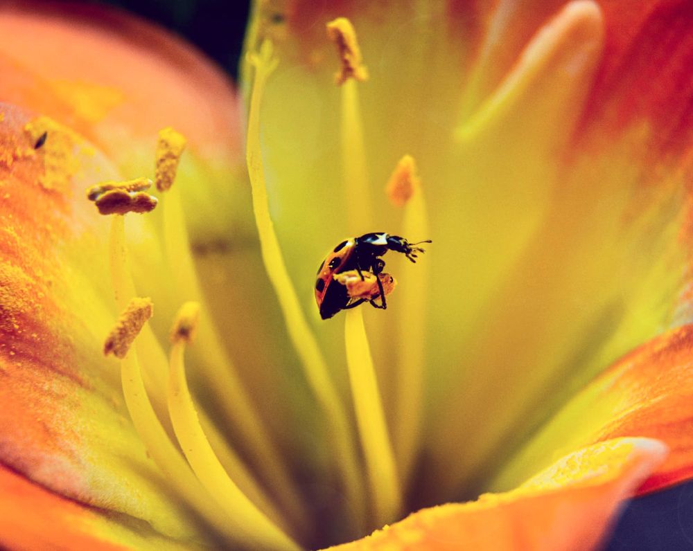 Photograph by Светлана Перминова