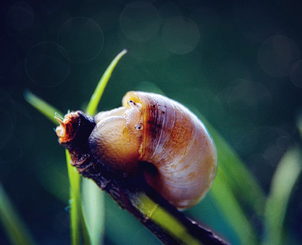 Photograph by Светлана Перминова