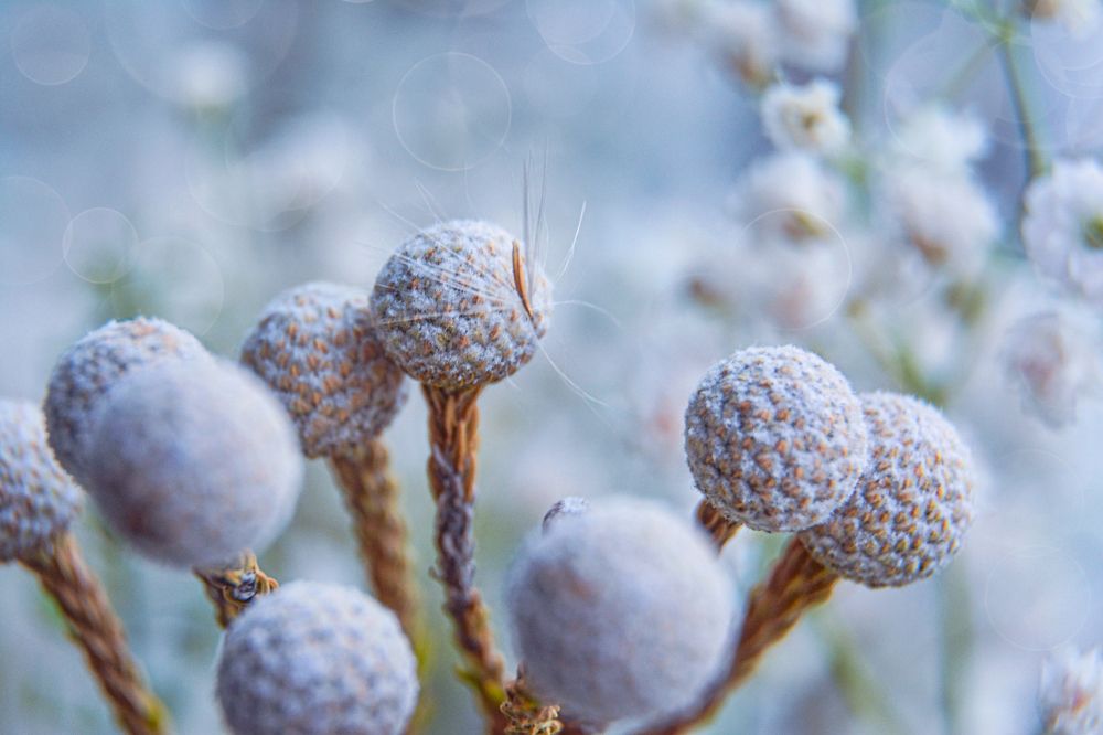 Photograph by Светлана Перминова