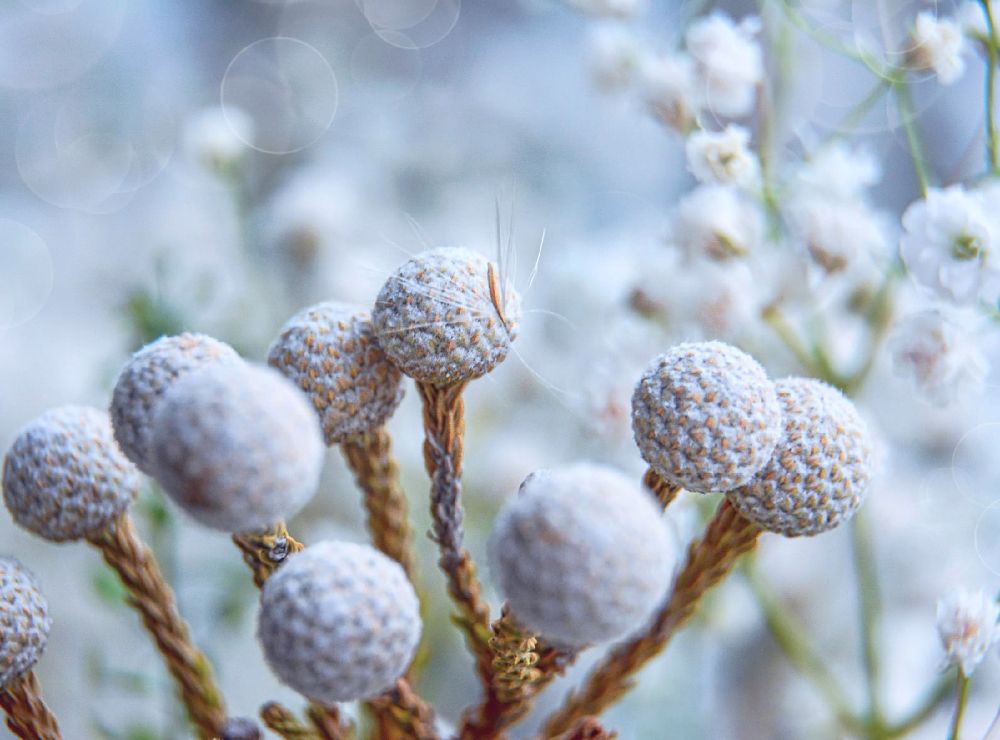 Photograph by Светлана Перминова