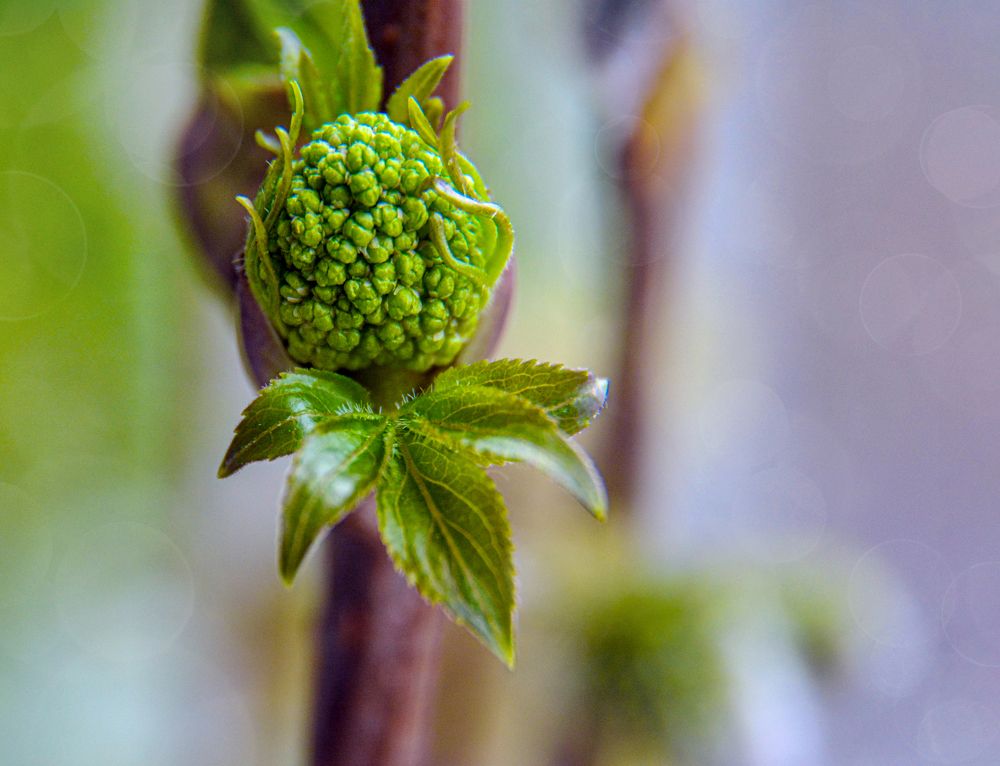 Photograph by Светлана Перминова