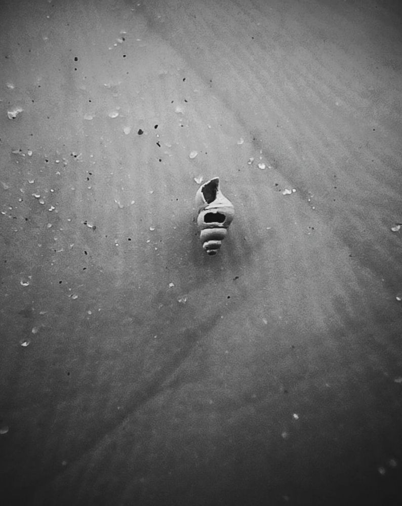 Photograph by Николай Авраменко