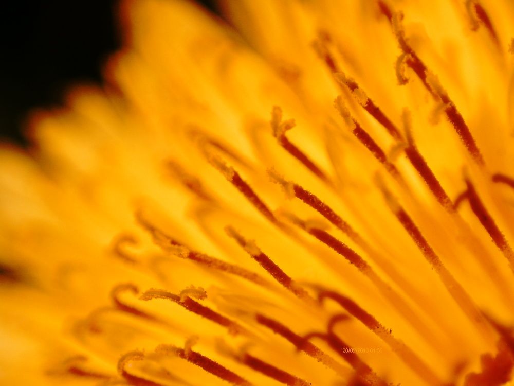 Photograph by Алексей Логинов