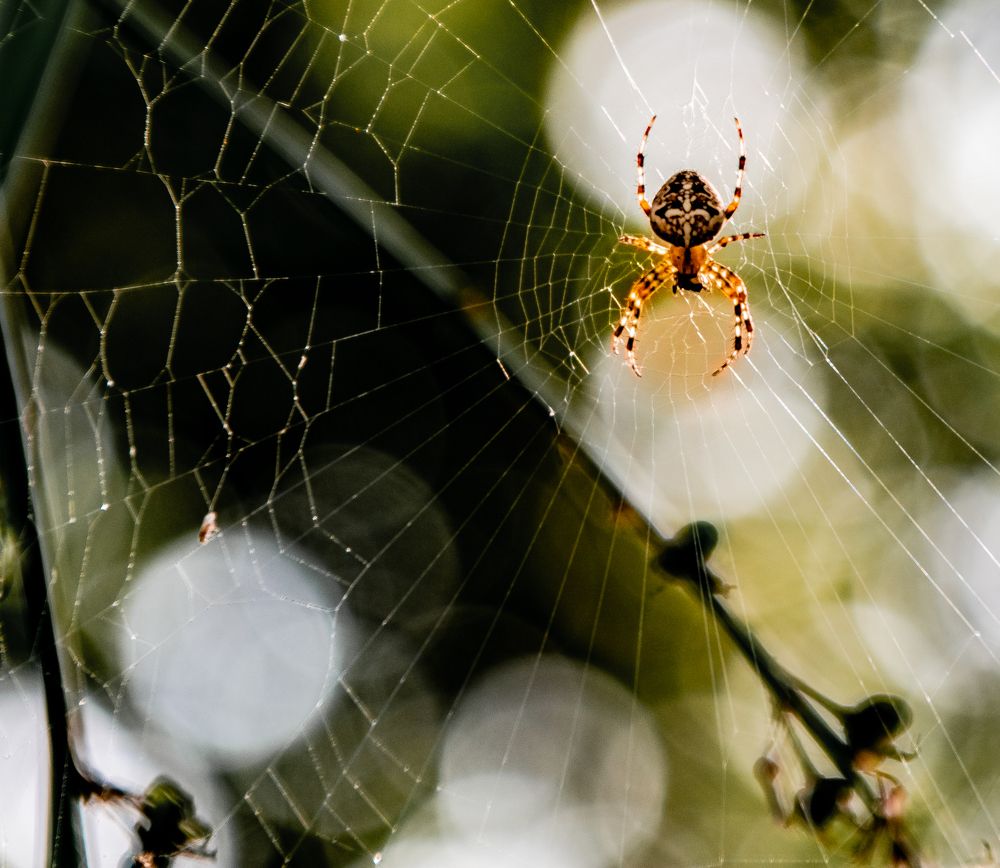 Photograph by Vitalii Kaznin