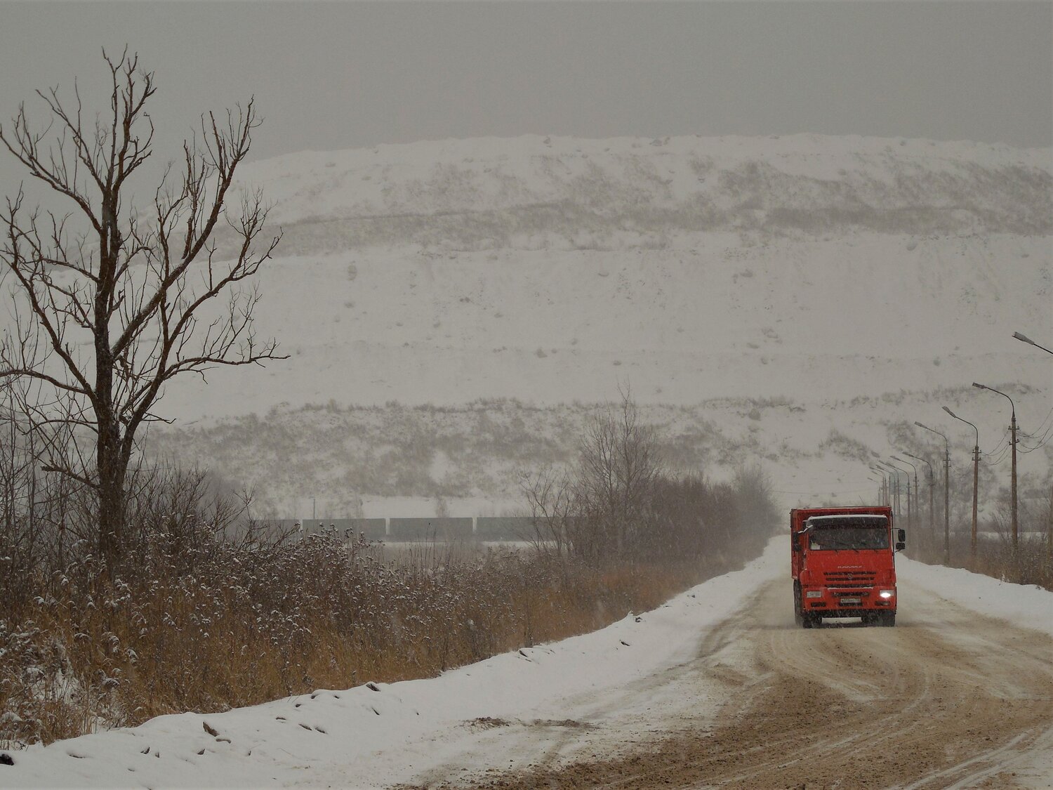 Photo #6517884