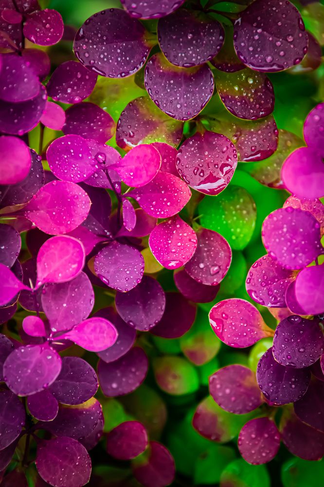 Photograph by Ирина Кротова