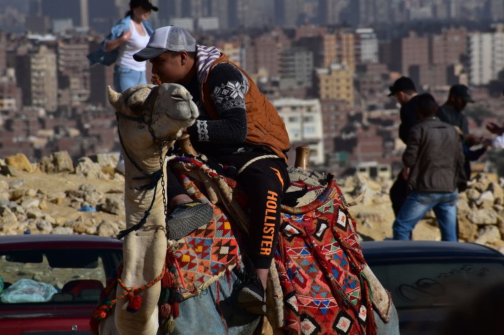 Жизнь вокруг пирамид Гизы