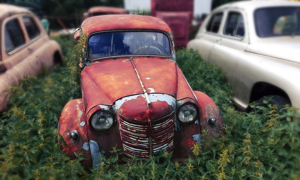 Фотография автора Дмитрий Нефёдов