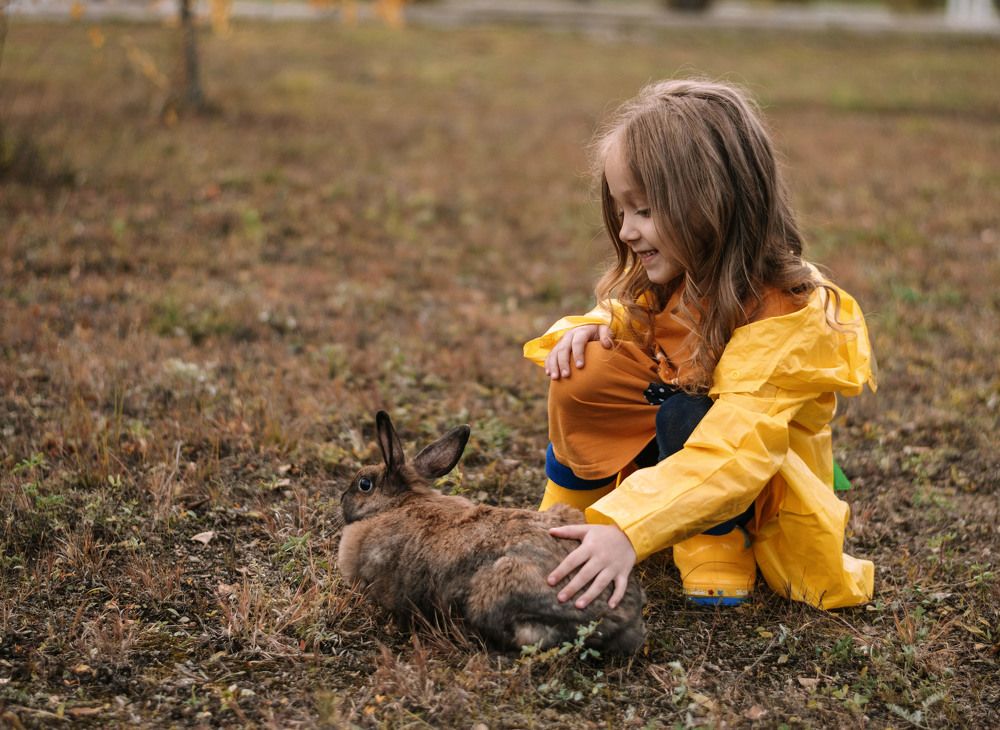 Осенняя прогулка
