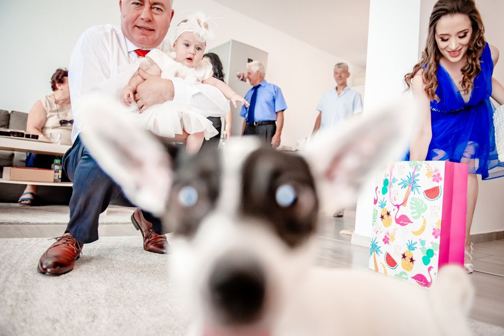 Photograph by Radu Constantinescu