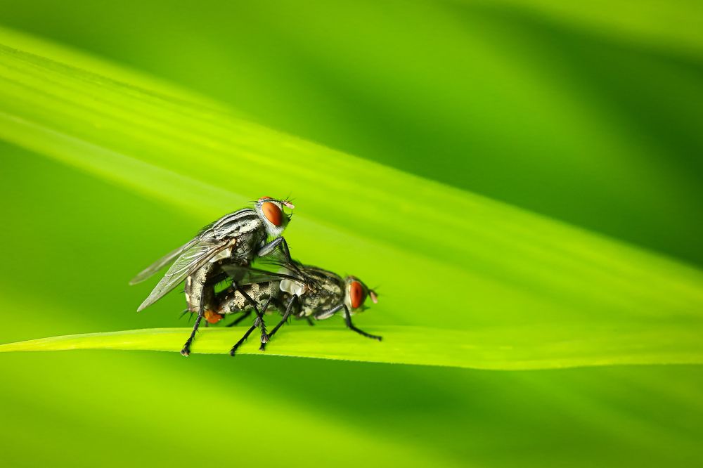 Photograph by Amit Machamasi
