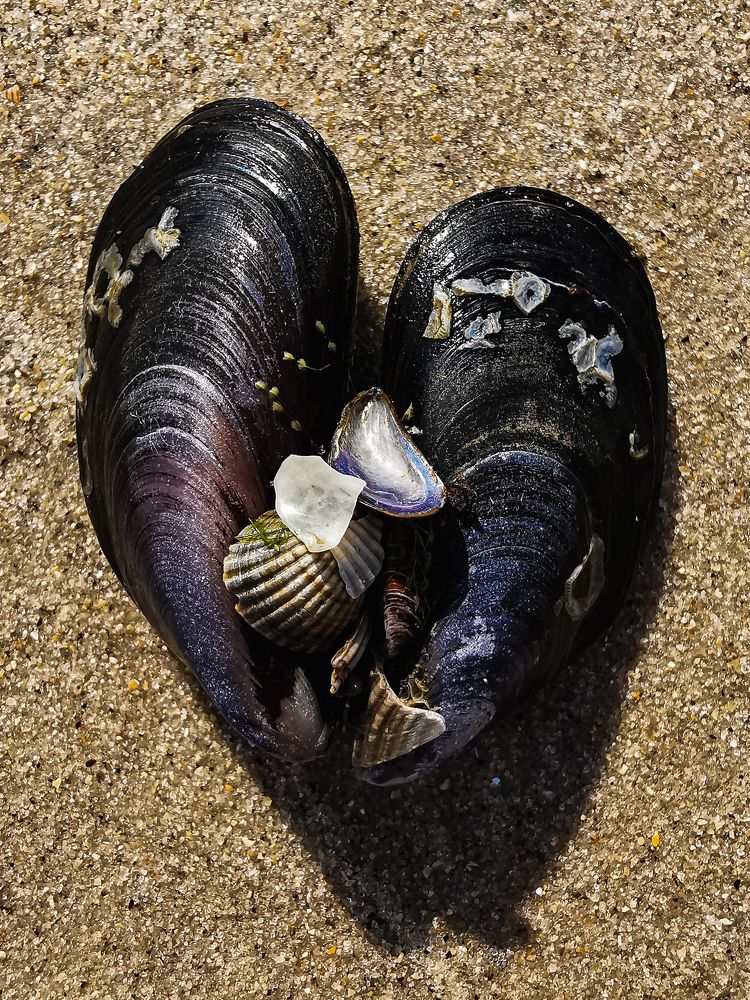 Photograph by Виктория Сорокопуд