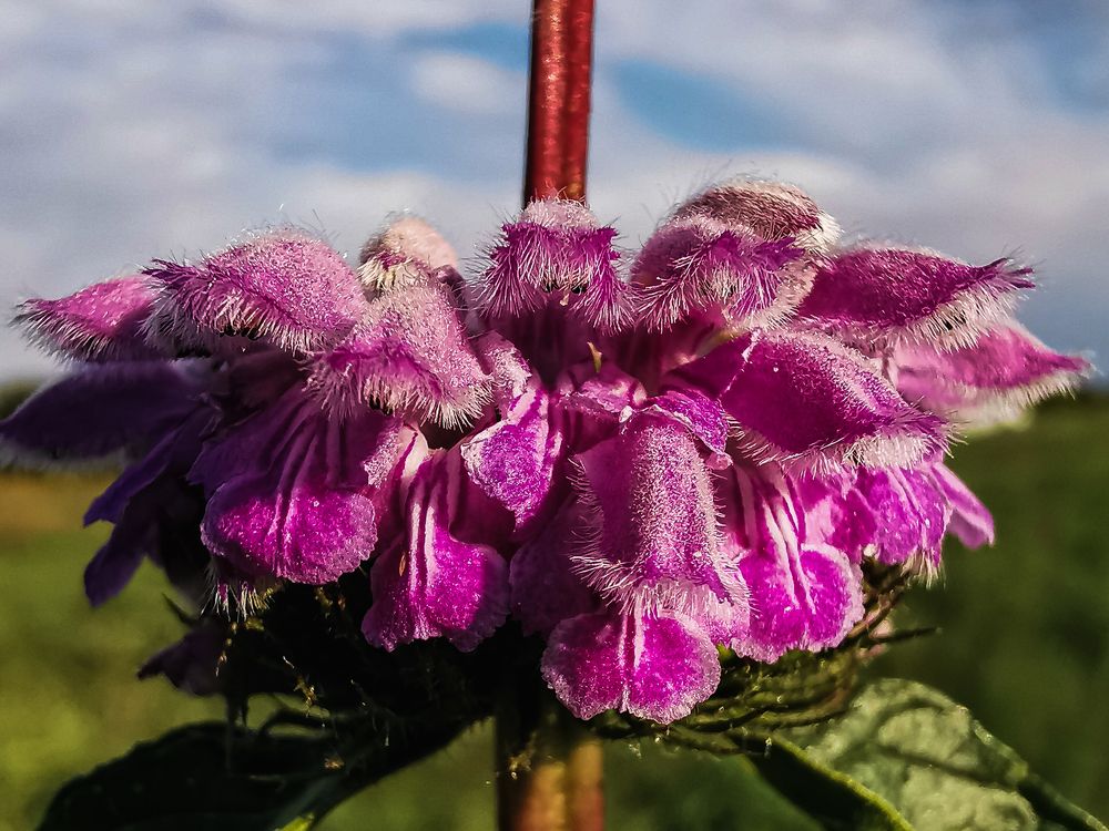 Photograph by Виктория Сорокопуд