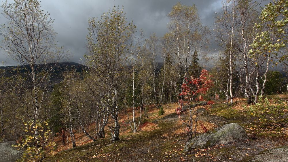 Photograph by Александр Полюдов