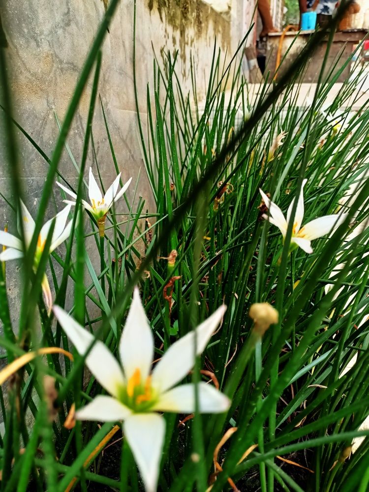 Photo #6518210