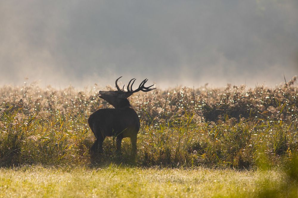 Photograph by Marcin Zakrzewski