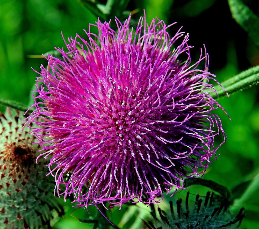 Photograph by Александр Бугаенко