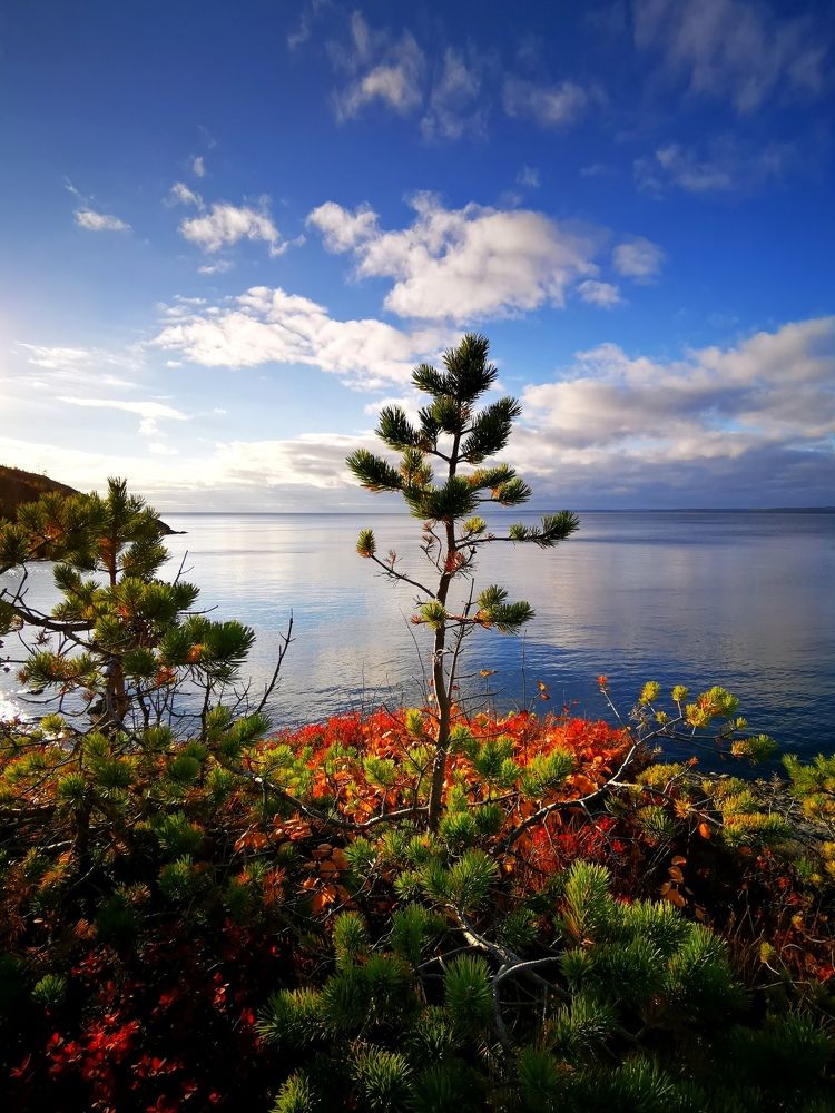 На острове в Белом море