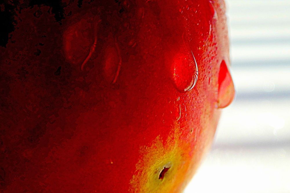 Photograph by Жанна Валиева