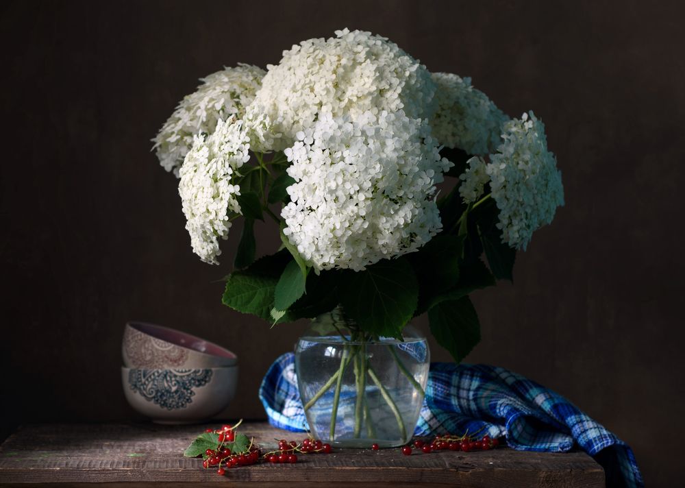 Photograph by Елена Мустафина