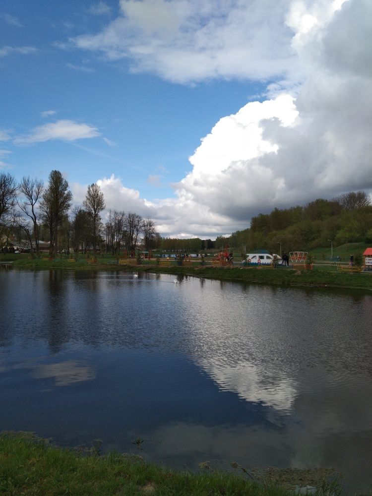 Photo #6518417