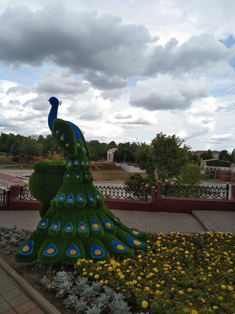 Жар птица