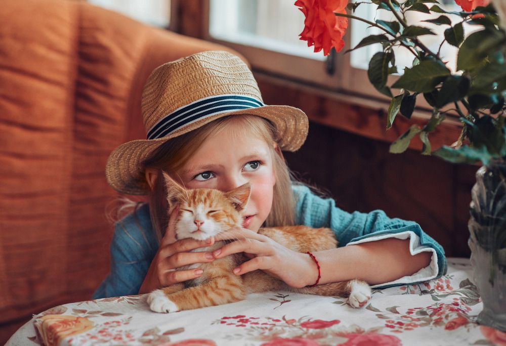 Фотография автора Евгения Рожкова