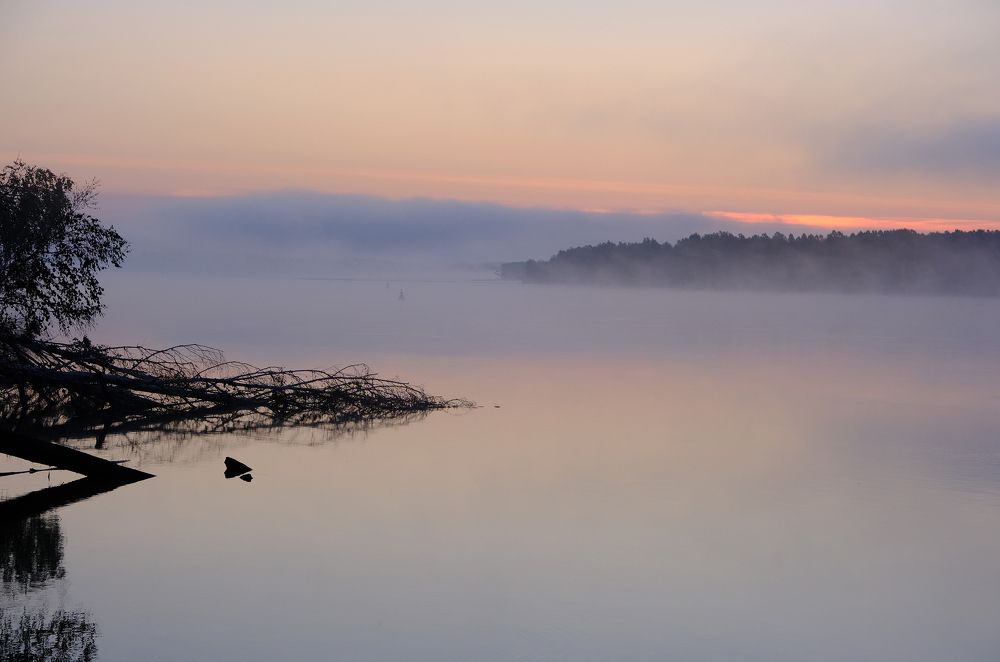 Фотография автора Максим Гавриленко