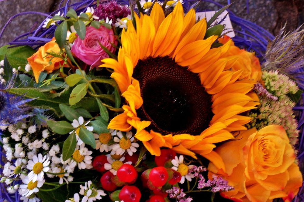 Photograph by backareva irina