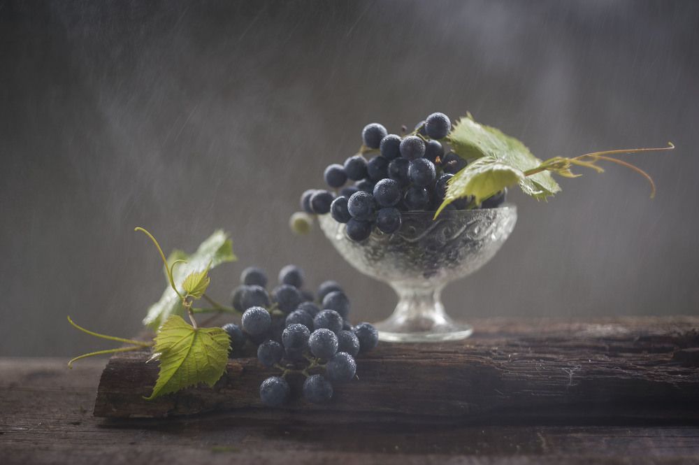 Photograph by Оксана Евкодимова