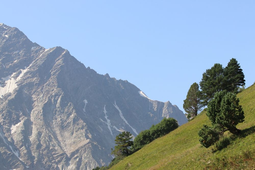 Фотография автора Татьяна Свистулина