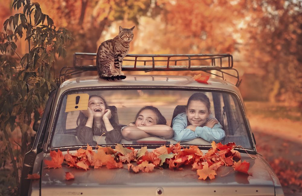 Осенний кот