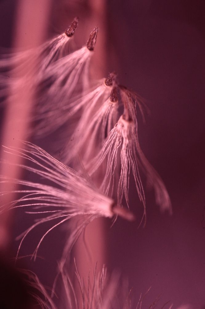 Photograph by Milla Luca