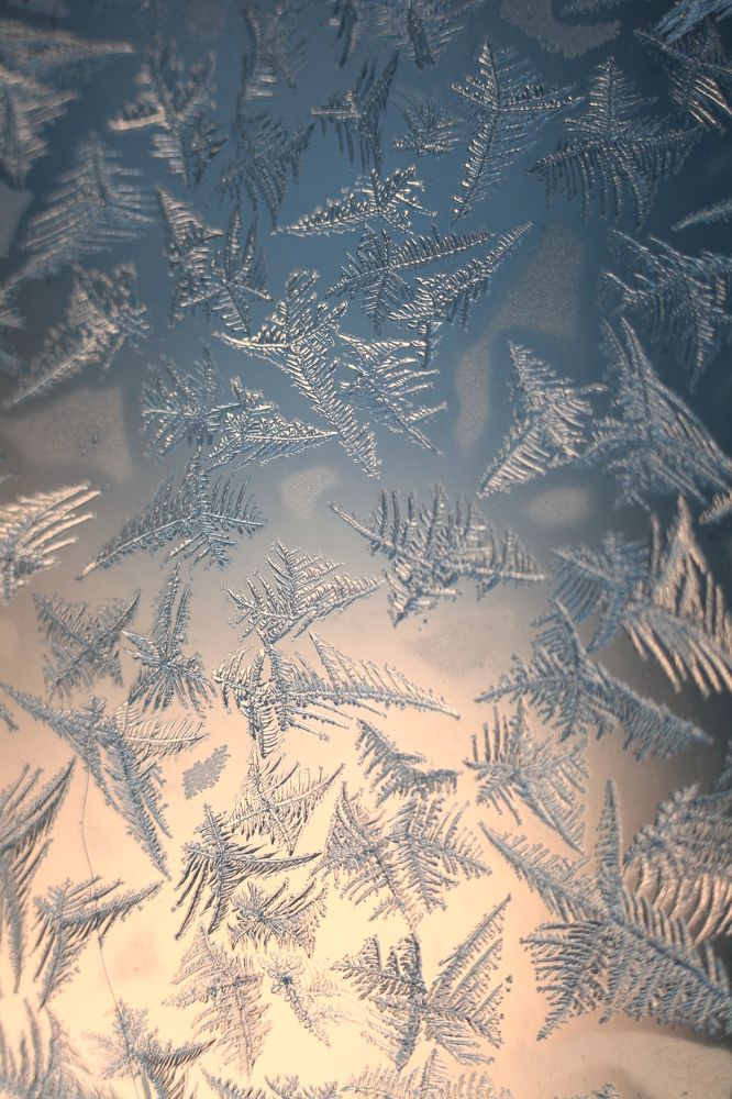 Photograph by Milla Luca