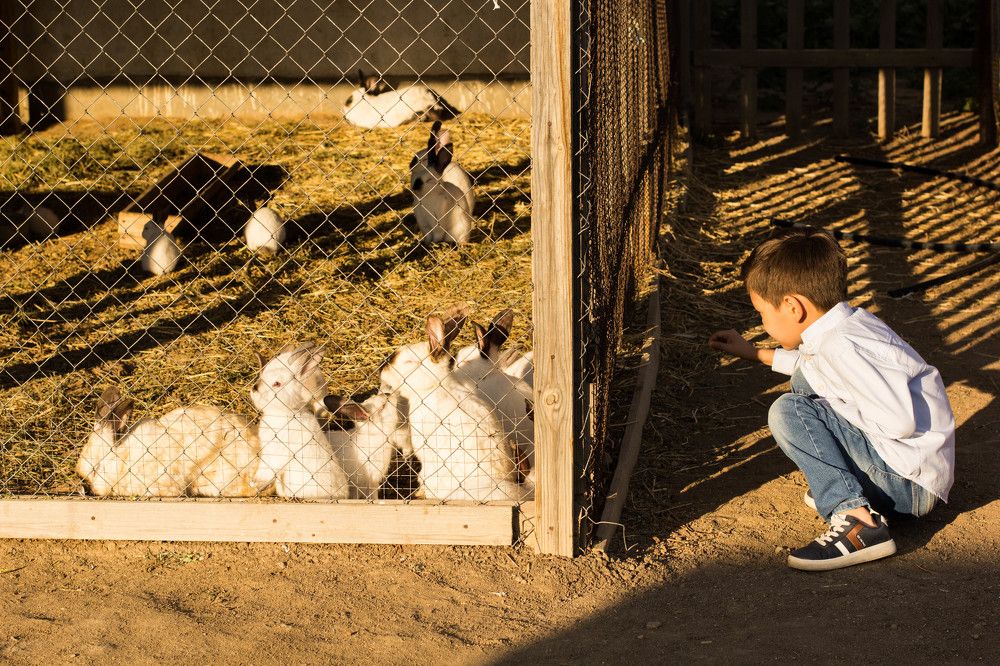 Photograph by Айнура Пернекулова