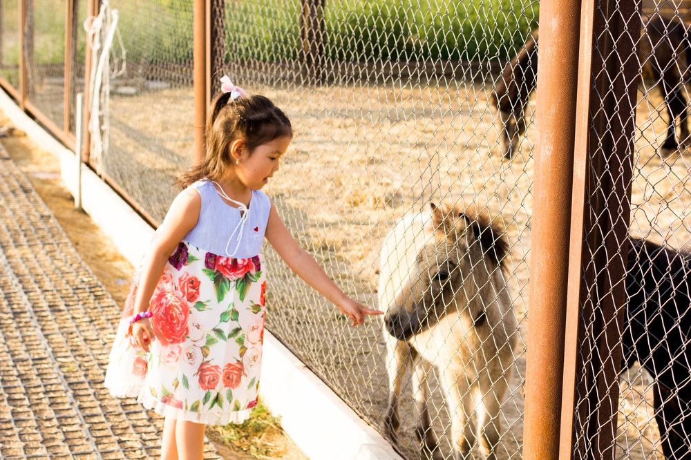 Photograph by Айнура Пернекулова