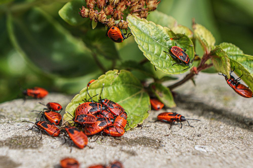 Photograph by Дарья Погонцева