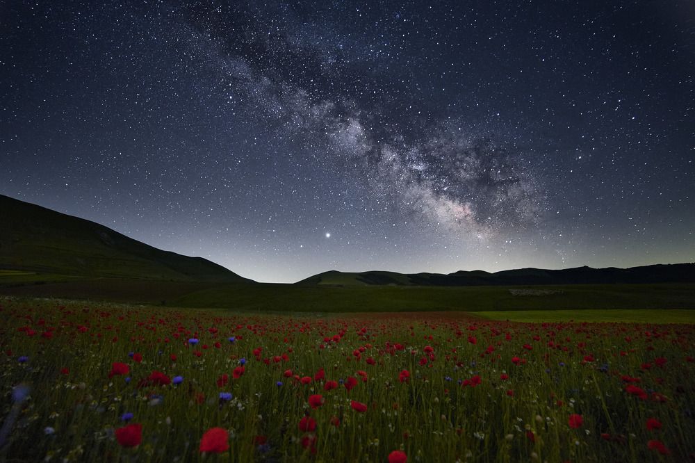 Photograph by Angelo Facondini