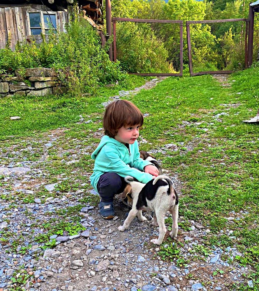 Photograph by рамаз хонелидзе