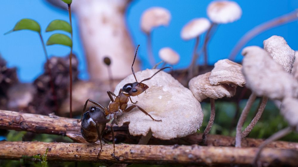 Photograph by Людмила Железнова